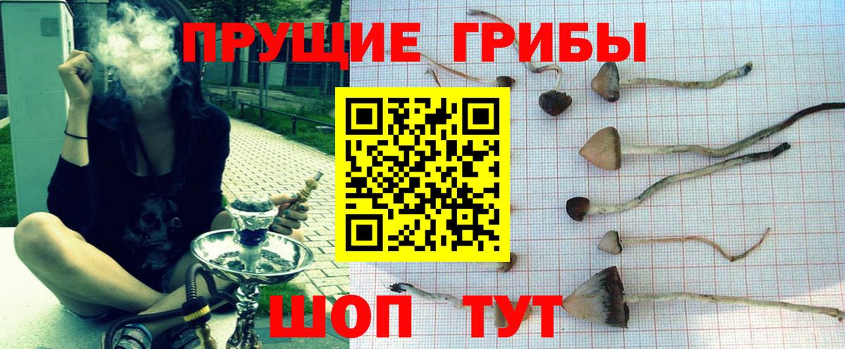 Галлюциногенные грибы GOLDEN TEACHER  Вход с VPN  Печора 